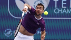 Marin Čilić u meču s Popirinom