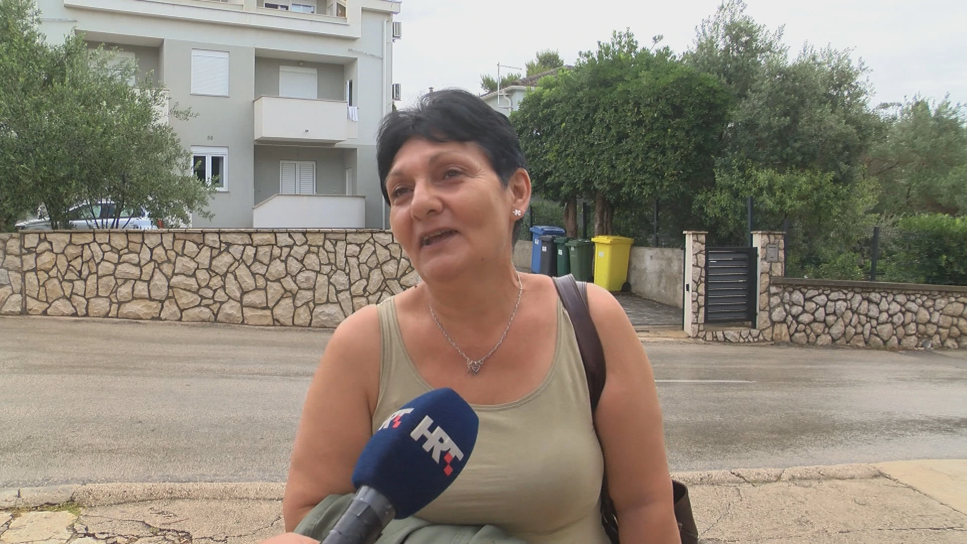 Radnica iz Srbije: "Oduševljena sam. Imam predivne gazde, plaća je dobra..."