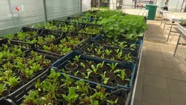 Povrtnjak na Agronomskom fakultetu 