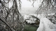 Boris Scitar/Vecernji list/PIXSELL, Foto: -/-