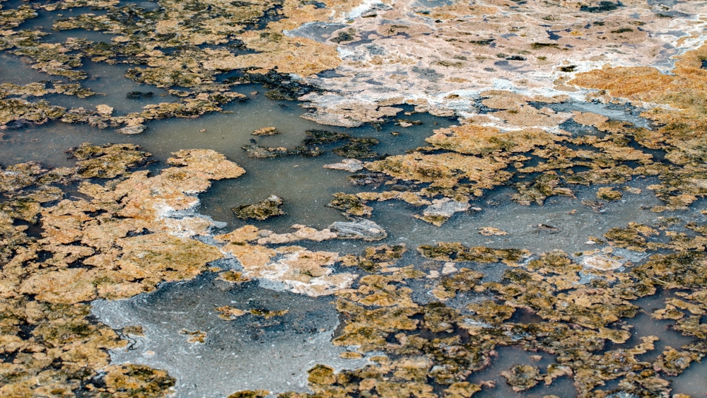 Die Makarani sind besorgt – der Hafen ist mit Fäkalien überschwemmt, der Gestank ist unerträglich. 1 shutterstock 2355800811 20260516133200