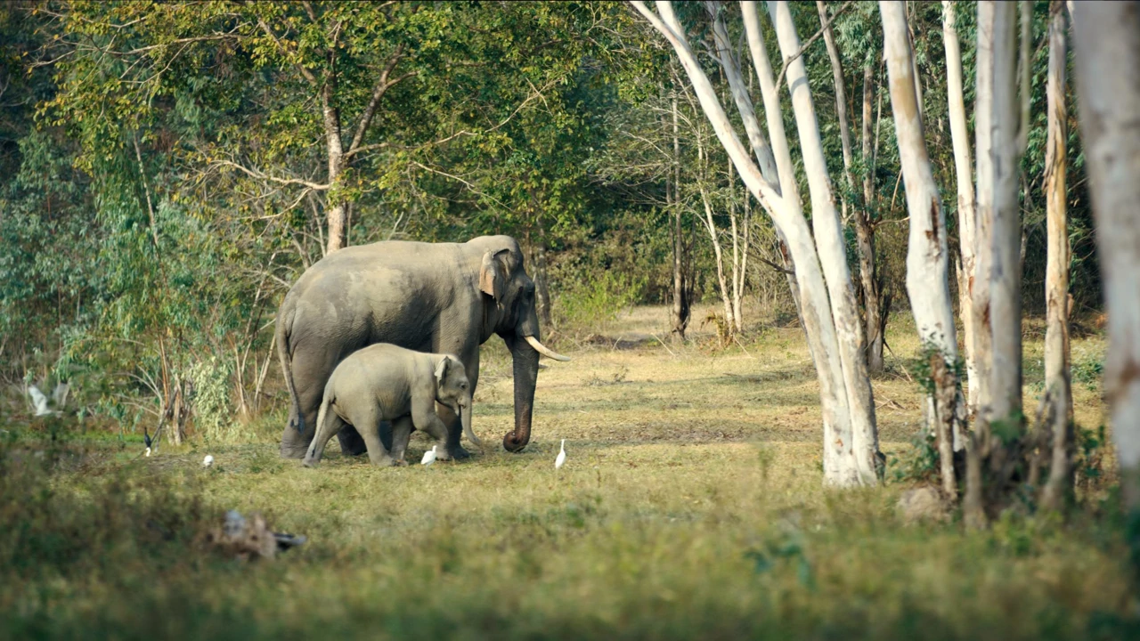 Ponedjeljak, 10. studenoga na Drugom
