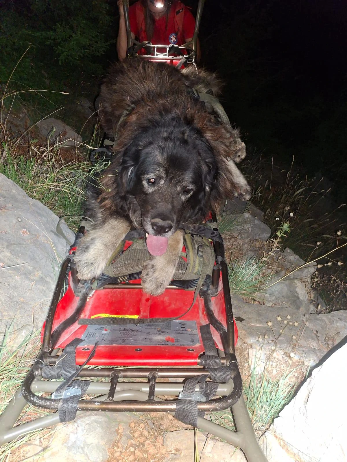 HGSS Zadar  - akcija 