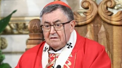 Kardinal Vinko Puljić
