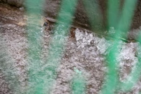Rekordna količina kiše u Zadru, Foto: Sime Zelic/PIXSELL