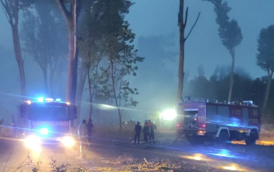 Novi požar u Kopačkom ritu, Foto: Vatrogasci Bilje/-