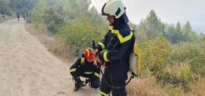 Požar kod Skradina, Foto: -/Matija Bajsić 