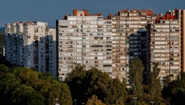 Mamutica