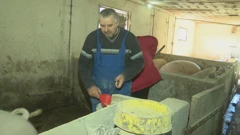Nezadovoljni svinjogojci