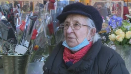 Štefica Košutić
