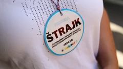 Štrajka se već sedmi tjedan, no znatnijih pomaka nema