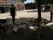 udruge, Foto: Grubišić/HRT