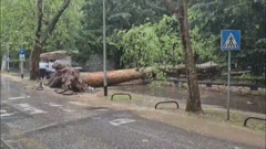 Nevrijeme zahvatilo Zagreb, Foto: HTV/HRT