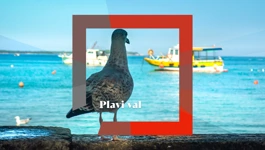 Plavi val