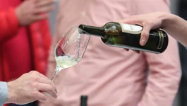 Otvorena izložba vina "Vinistra"
