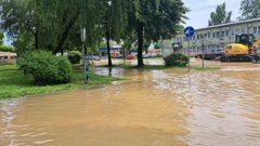 Kutina
