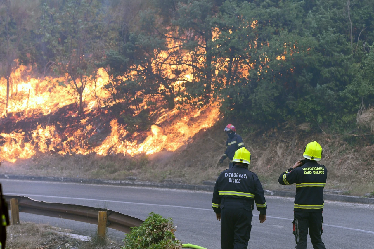 Požar kod Zatona, Foto: Hrvoje Jelavic /Pixsell