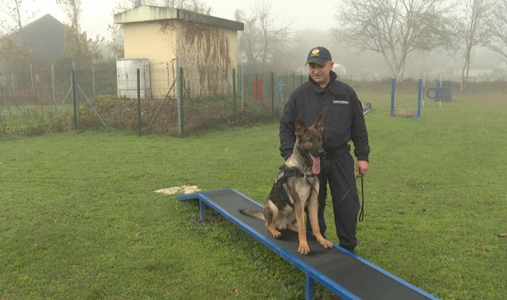 Čovjekov najbolji prijatelj i glavni saveznik u borbi protiv krijumčara