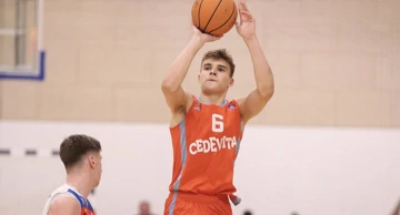 Niko Šare