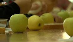 Voće, Foto: HRT/HTV