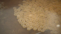 Mekousna pastrva, Foto: Magdalena Šipić/HRT