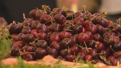 Cijene trešanja otišle u nebo 