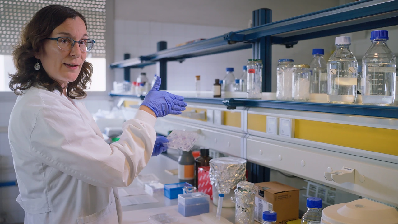 Četvrtak, 19. ožujka na Prvom, Foto:   Homo plasticus - čovjek novog doba/dokumentarni film