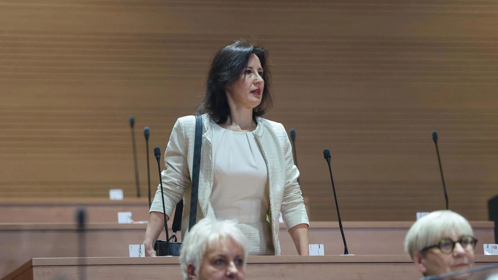 HDZ: Ojačali smo plavu boju; Orešković: Hrvatska se "zaplavila" zbog mreže korupcije