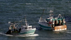 Koćarice isplovljavaju iz ribarske luke u Port-en-Bessin-Huppainu, Francuska