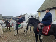 20. pokladno jahanje u Tenji, Foto: M.Milas/Radio Osijek