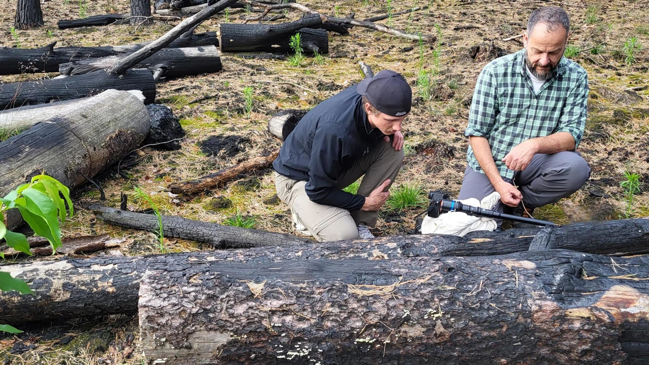 Četvrtak, 12. lipnja na Drugom, Foto: Dobro došli u šumu/dokumentarna serija