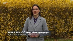 Petra Sviličić
