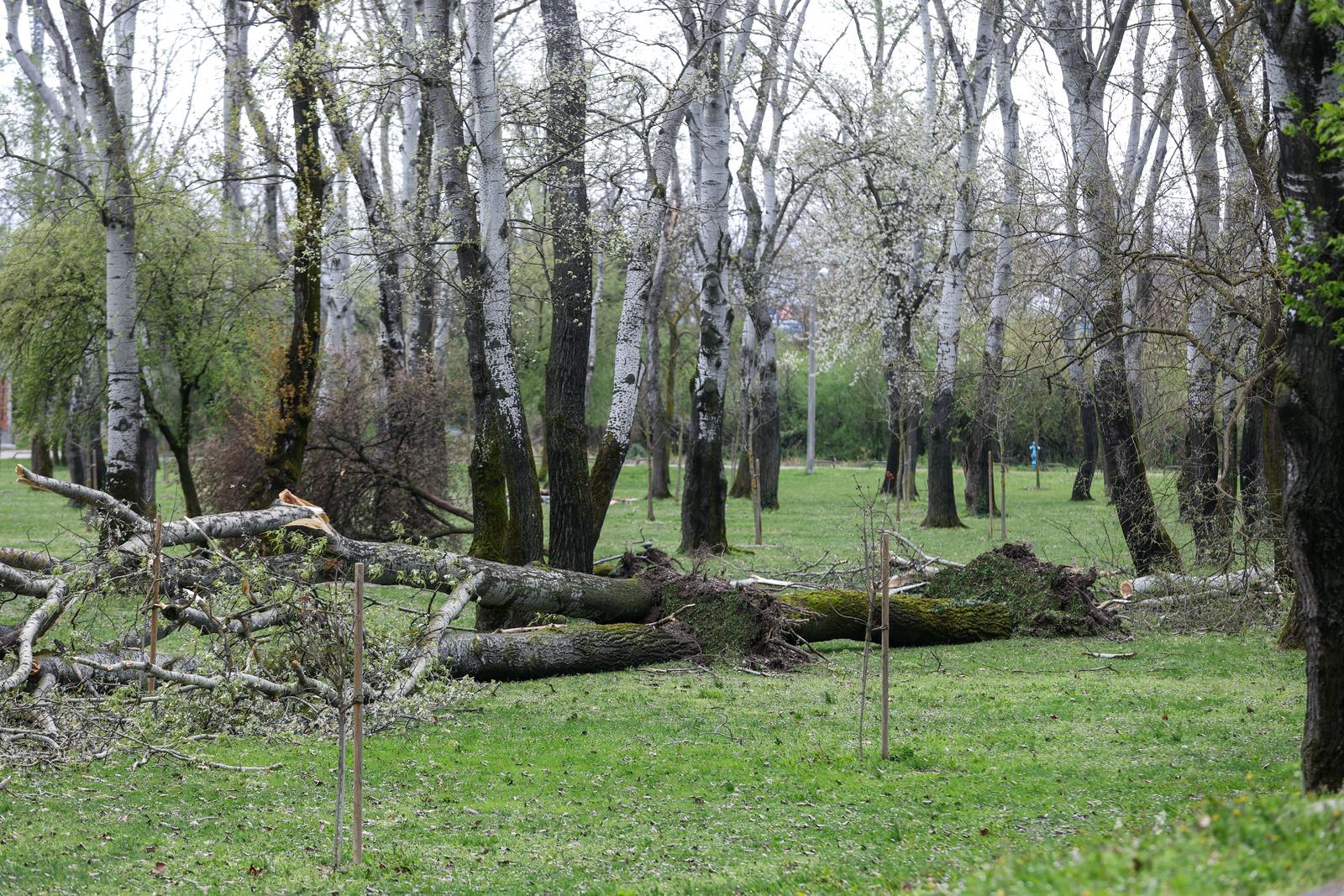 pxl 270326 149133052 20260403121522