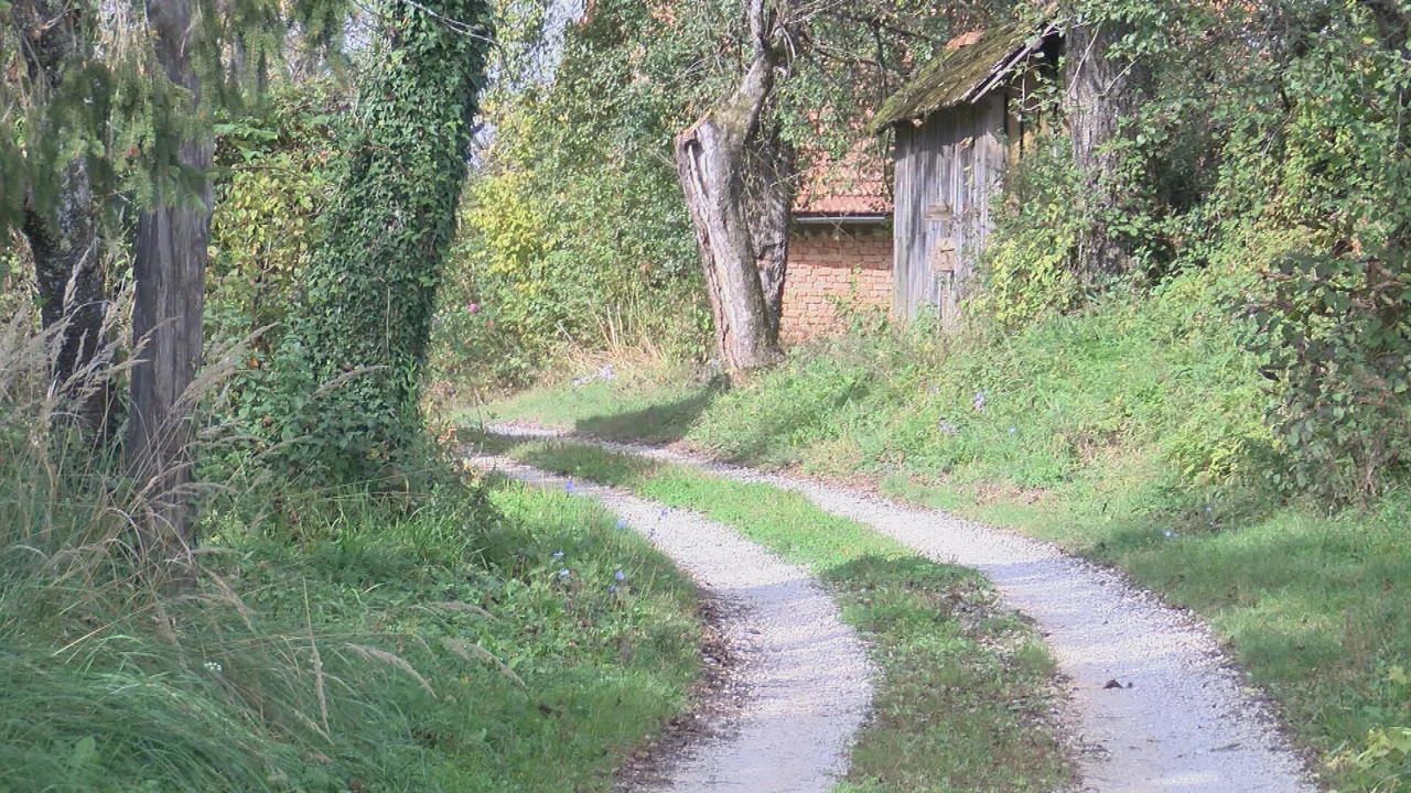 U općini Krnjak većina nerazvrstanih cesta je makadamska, Foto: HTV/HRT