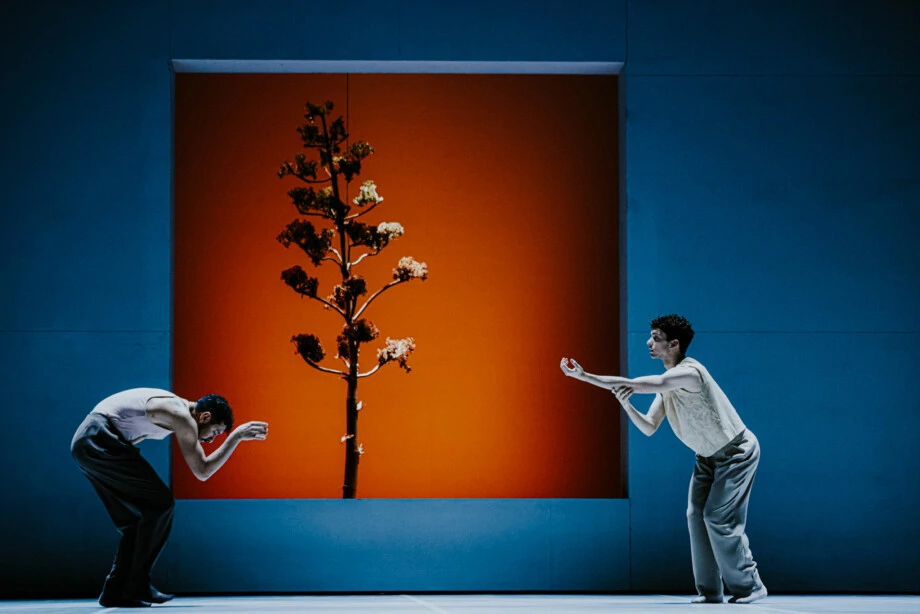 The Most Familiar Stranger, Foto: promo /promo 