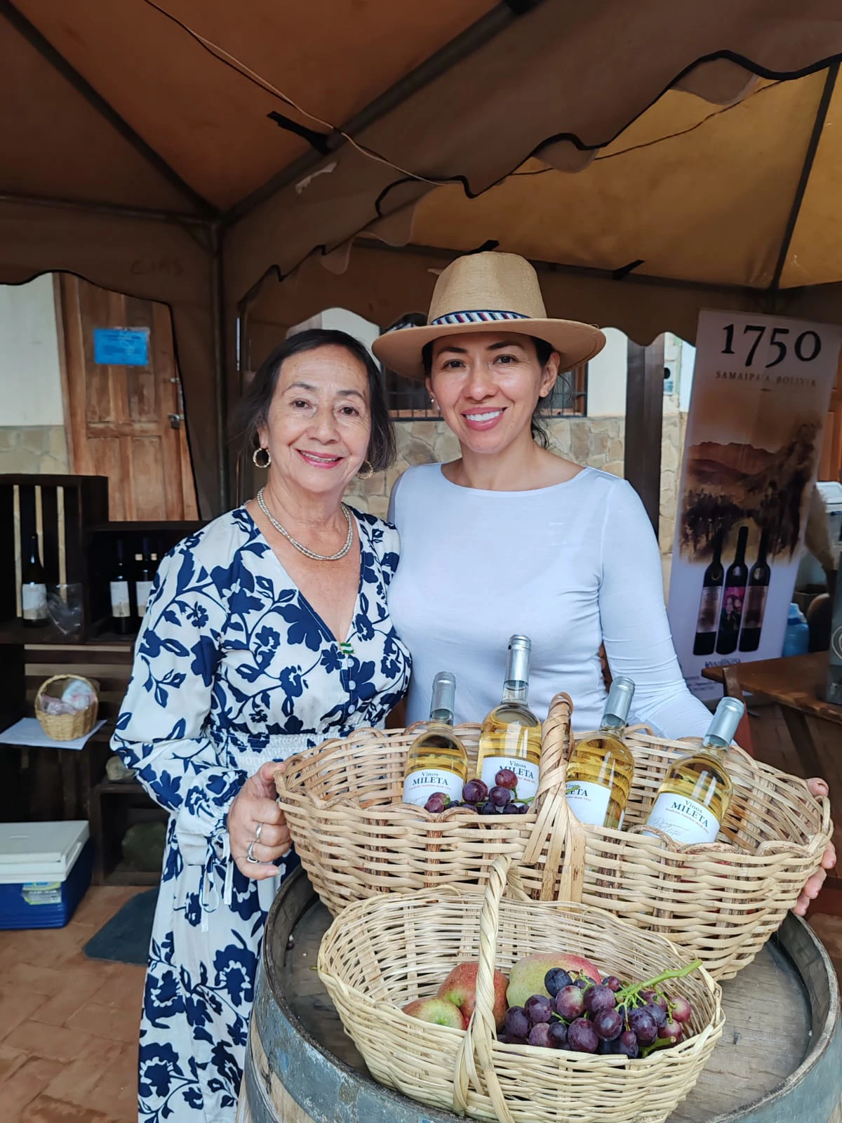 Vino Mileta, Foto: Alejandro Pinto//