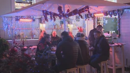 Pulski advent