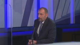 Dalibor Paus