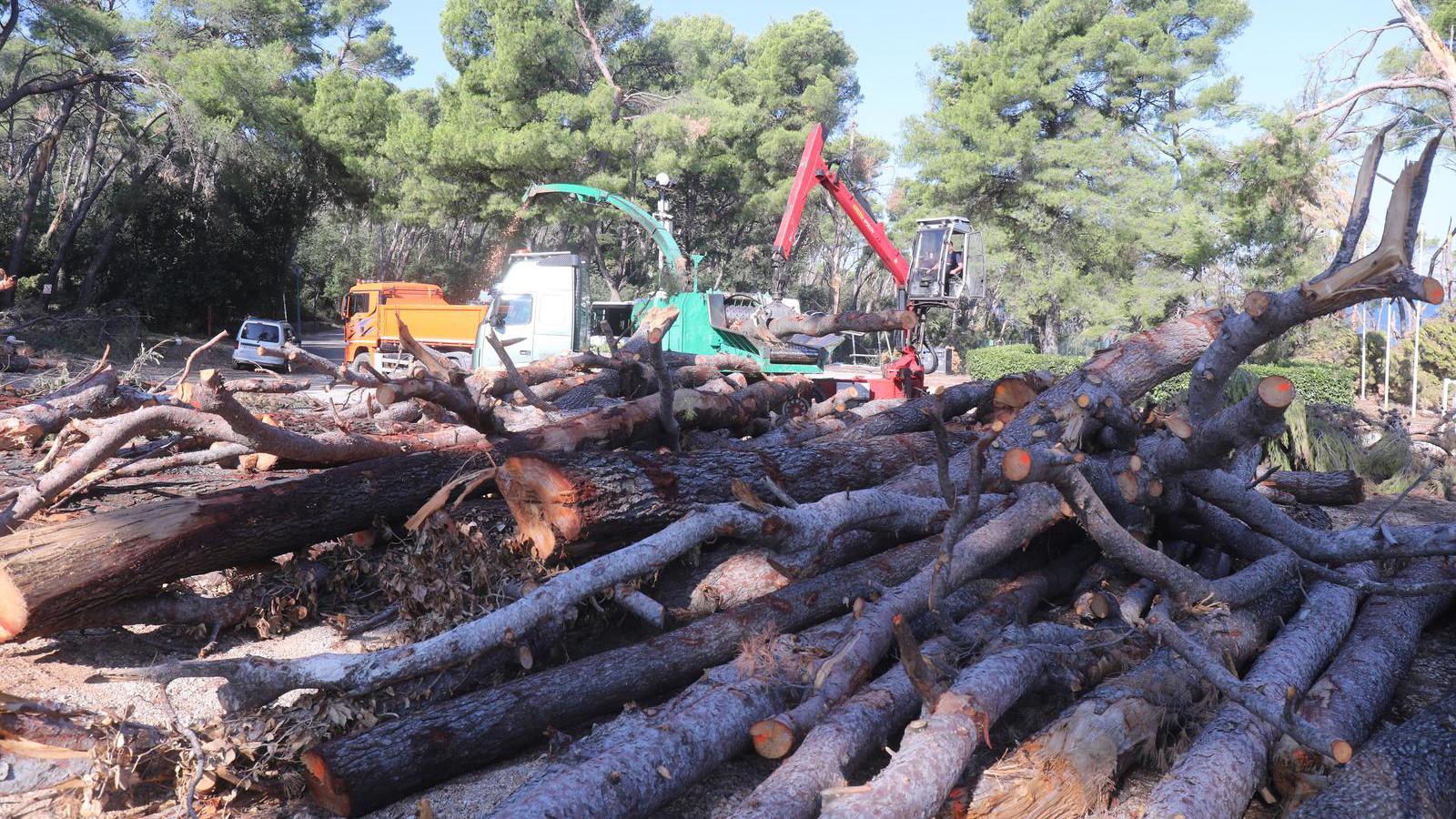 Split wird 1,8 Millionen Euro für die Renovierung von Marjan bereitstellen 10 pxl 310725 136175813 20250731122530