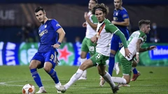 Robert Ljubičić na utakmici Dinamo - Rapid