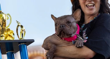Petunia