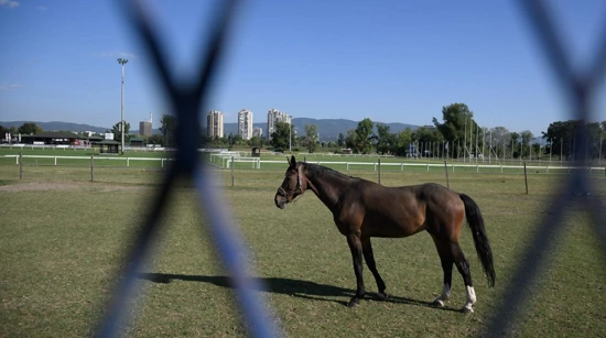 Zagreb Hippodrome