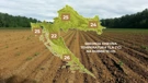 agrometeorološka prognoza