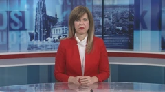 Biljana Borzan, Foto: HTV/HRT