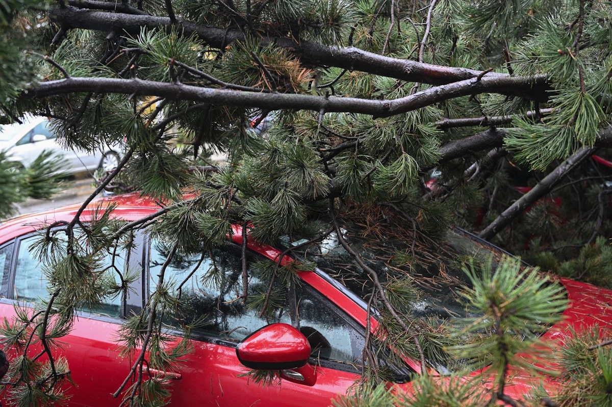 Posljedice nevremena u Zagrebu: 3100 prijava za naknadu štete