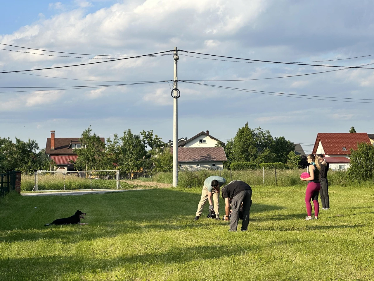 Srijeda, 18. veljače na Prvom , Foto: Psi na zadatku/2. sezona  dokumenarne serije 