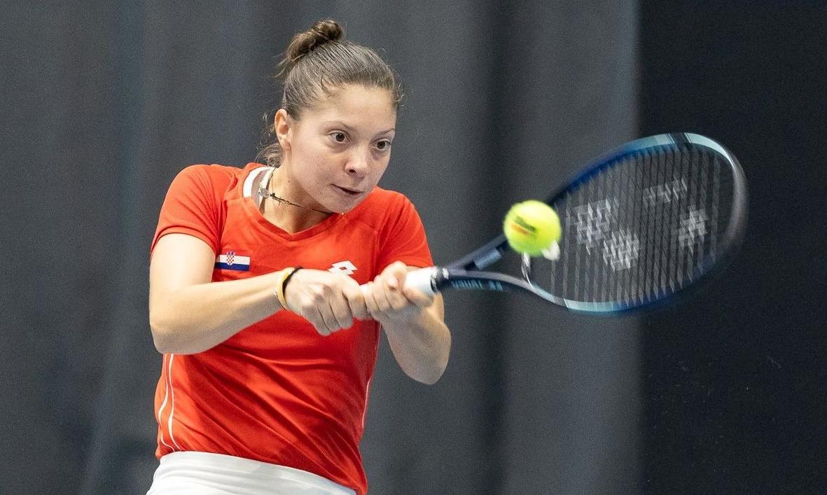 untitled 20241123143727