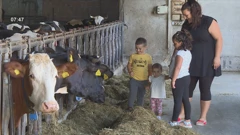 Farma obitelji Maciček