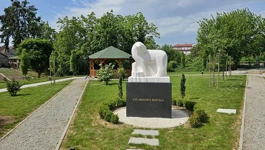 Vrt