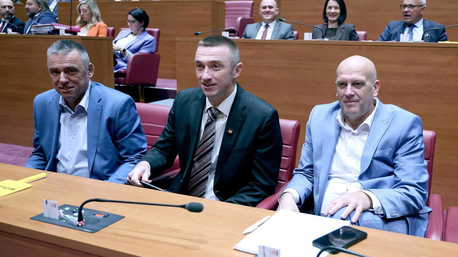 Zastupnici DP-a